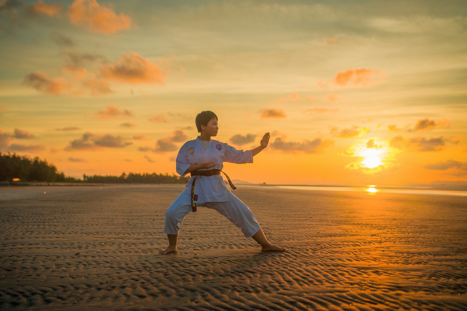 Pratiquants d'arts martiaux à l'entraînement